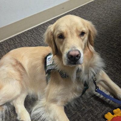 Katie and Sanford Therapy Dog Fox