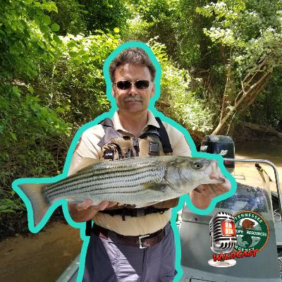 #461 Digging Up Bones: Celebrating 40 Years of a Fisheries Legend #461 Digging Up Bones: Celebrating 40 Years of a Fisheries Legend