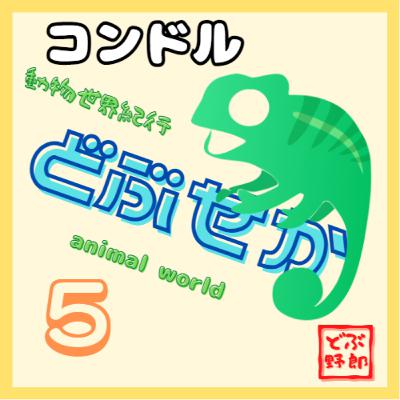 #5 コンドル～禿げているのは衛生的な証～