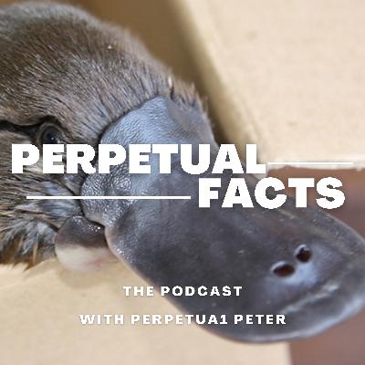 Platypus are weird!
