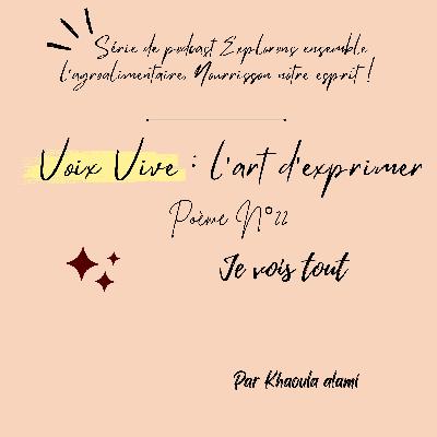 Poème N° 22 : Je vois tout.