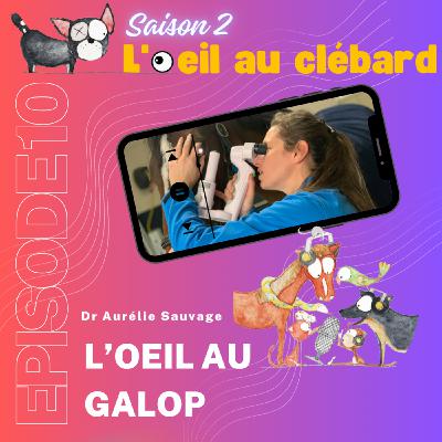 L'oeil au galop L'oeil au galop