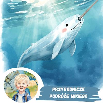 Przyrodnicze Podróże Mikiego - Odcinek z narwalem