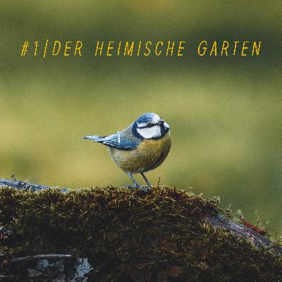 #1 | Der heimische Garten & seine Bewohner