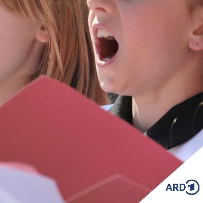 Erst verstimmt, dann verstummt - und was kommt dann? Ein Plädoyer für Stimmbildung und gute Stimmung Erst verstimmt, dann verstummt - und was kommt dann? Ein Plädoyer für Stimmbildung und gute Stimmung