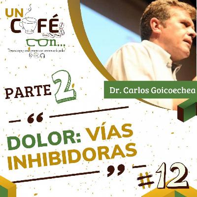 Episodio #11: Dolor "Vías inhibitorias" con Carlos Goicoechea parte 2