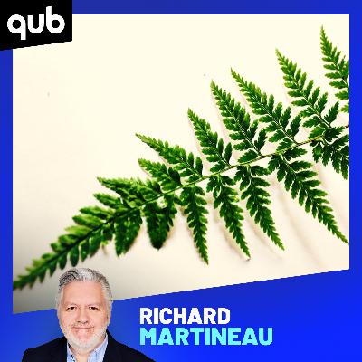 Route 223: une publicité officielle de Saint-Basile-le-Grand demande au gouvernement de «gérer sa fougère!» - explications du Maire