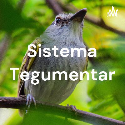 Sistema Tegumentar