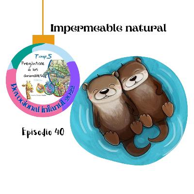 Episodio 40: Impermeable natural