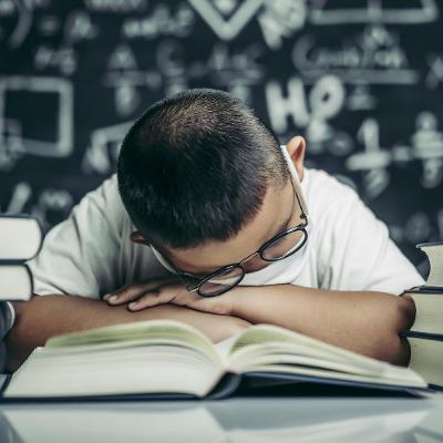 29-8: X Informe del Estado de la Educación.