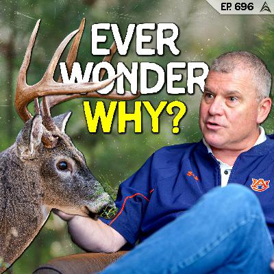 696 - Why Deer Stop Moving When You Start Hunting with Dr. Stephen Ditchkoff