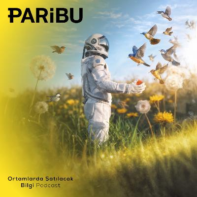 Kuşların Hayatından 12 Hayat Dersi Kuşların Hayatından 12 Hayat Dersi