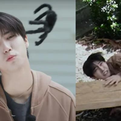 Stray Kids Han’s Reaction To A Spider Is Absolutely Priceless