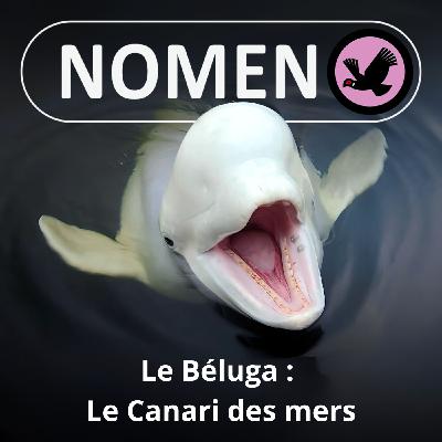 S05E13 Le Béluga : Un "Canari des mers" surnommé "blanchette" S05E13 Le Béluga : Un "Canari des mers" surnommé "blanchette"