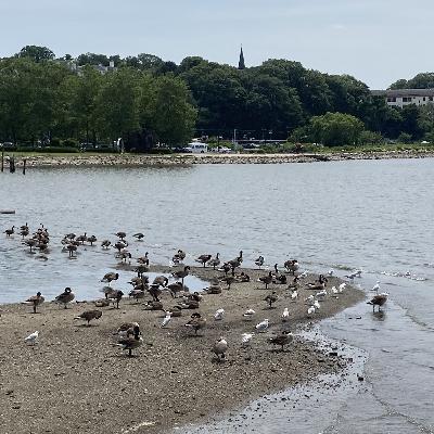 The Power Of Tradition