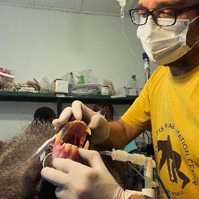 Helicobacter...la pandemia silenciosa y One Health!!!!! Helicobacter...la pandemia silenciosa y One Health!!!!!