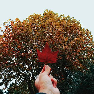 Better With You Techno Mix (Best Hardstyle, Techno, Hard Dance)