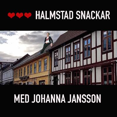 Skägghandlaren som blev tejpförbrukningskontrollant och Halmstadguide