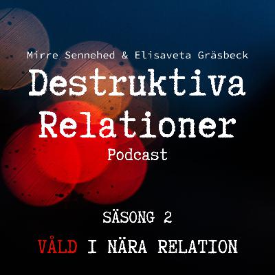 13. Våld i nära relation - Det dolda våldet