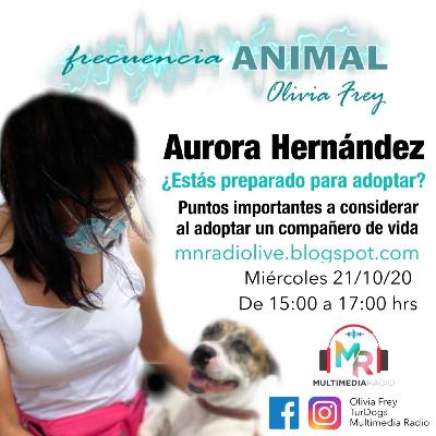 FRECUENCIA ANIMAL 22 CON OLIVIA FREY, INVITADA AURORA HERNÁNDEZ CON PUNTOS IMPORTANTES PARA ADOPTAR