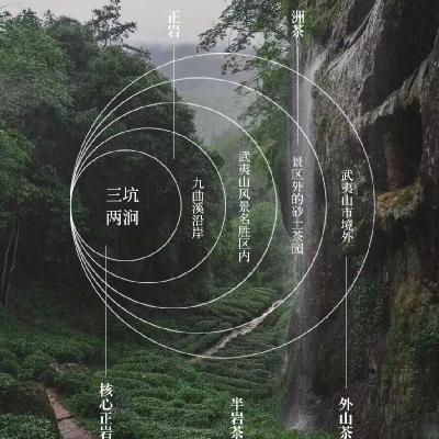独立思考 | 董宇辉带货茶叶引发的是“品”和“饮”茶的两种语境的争夺！