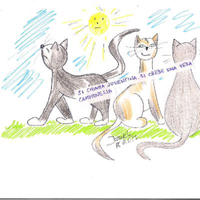 Sto bene in montagna