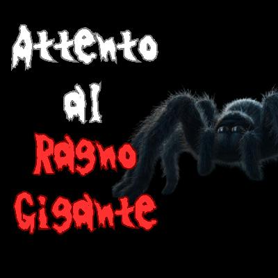 NON farti ingannare dagli OCCHI di questo RAGNO GIGANTE, potresti pentirtene