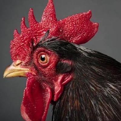 KUNCI MOTOR, TALKSHOW, DAN FESTIVAL