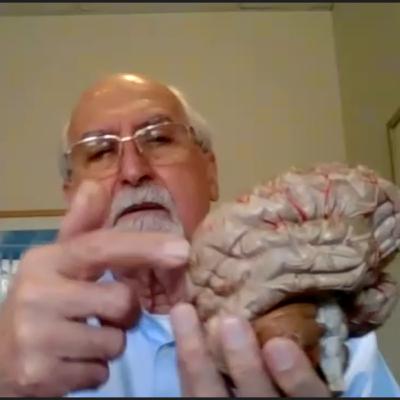 Delayed Development Syndrom with Dr Robin Pauc