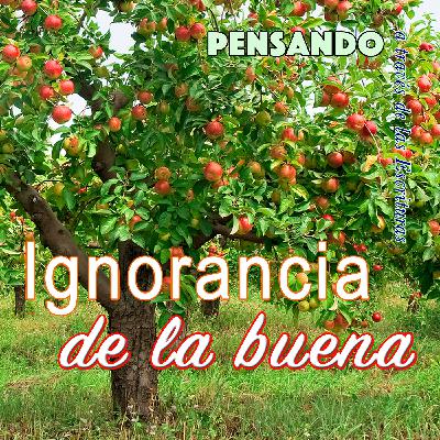 Ignorancia de la buena (PAE N.20)