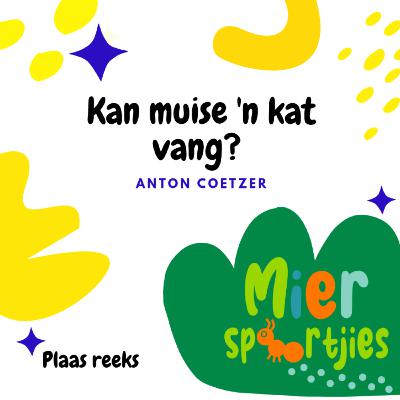 Kan muise 'n kat vang?