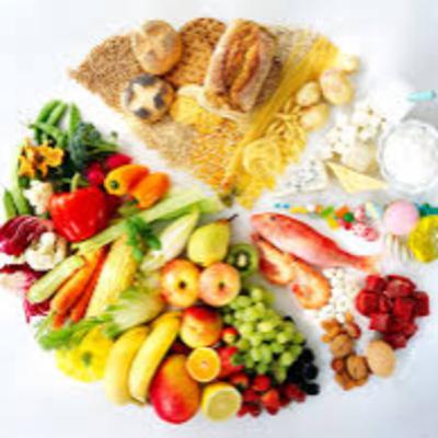 Estilos de vida saludables- Yanderi Sofía Cano Ortega 502