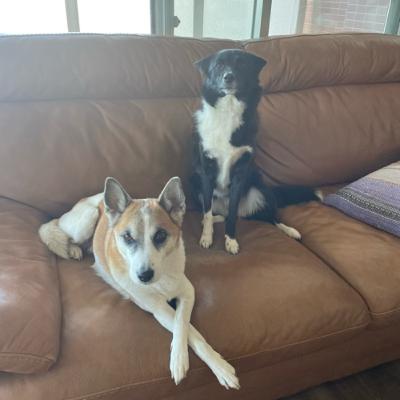 第0回【DEEP GREEN】秋山裕也 第0回【DEEP GREEN】秋山裕也