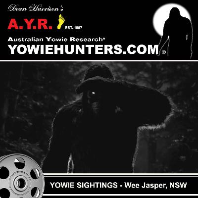Yowie Sightings at Wee Jasper, New South Wales