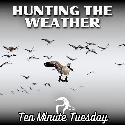 Hunting the Weather