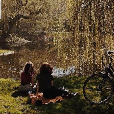 The introduction The introduction