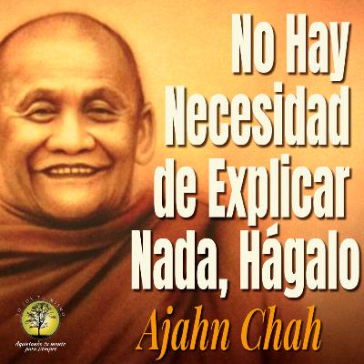 245-NO HAY NECESIDAD DE EXPLICAR NADA, HÁGALO ~ Ajahn Chah