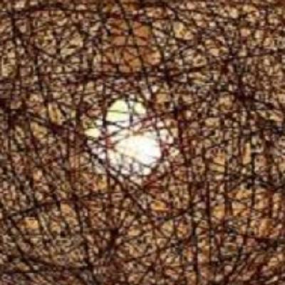 Thay đổi bản thân để thỏa mãn kỳ vọng của mẹ