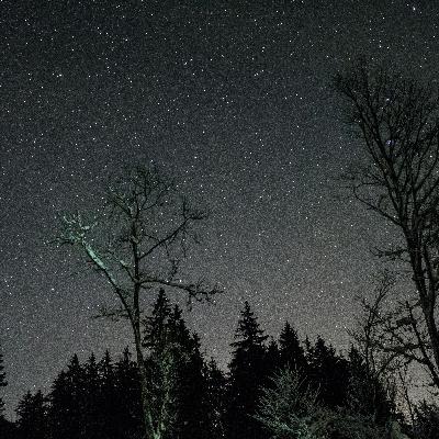 Cicadas at Night for Deep Sleep, Relaxation & Focus – Peaceful Summer Night Ambience 9 Hours