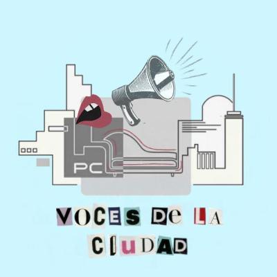 La voz, ese objeto instrumento
