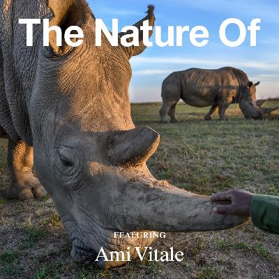 Wildlife Photographer Ami Vitale on Why Intimacy Will Save Us