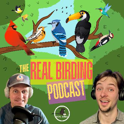 EP. #49: Bird Photography - Do You Really Need a Camera?