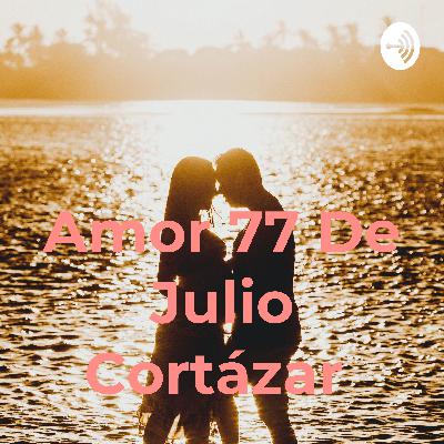 Amor 77 de Julio Cortázar