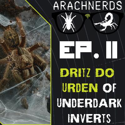 Dritz Do Urden of Underdark Inverts | Part 1 | ArachNerds Ep. 11