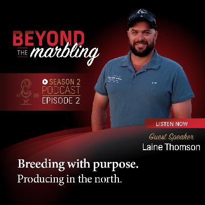 Season 2 - Ep 2. Breeding with purpose. Producing in the north