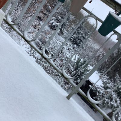 Infos & Podcasts empfehlen 🧋 Infos & Podcasts empfehlen 🧋