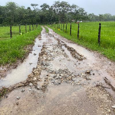 November rains: 3 weeks straight of rain and no sun! Super wet end of rainy season; muddy farm; dome updates and more!