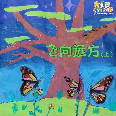 【亲亲自然】飞向远方（上）