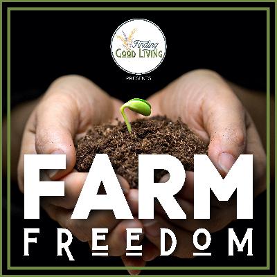 3. Is Homesteading Right For You? Balancing Isolation, Convenience, & Community 3. Is Homesteading Right For You? Balancing Isolation, Convenience, & Community