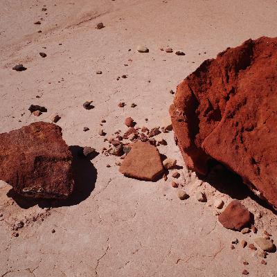 How does size shape our understanding of and search for life? #020 with Chris Kempes